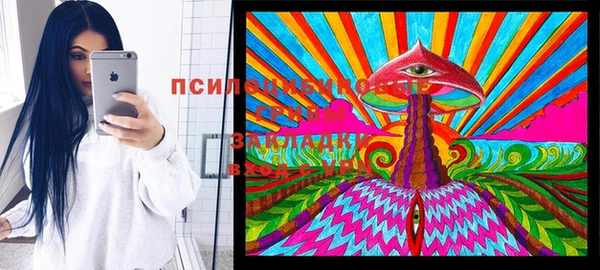 экстази Алексин