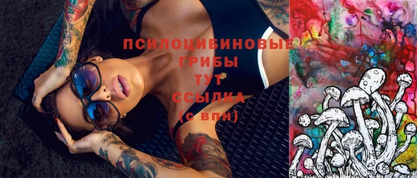 круглые Алзамай