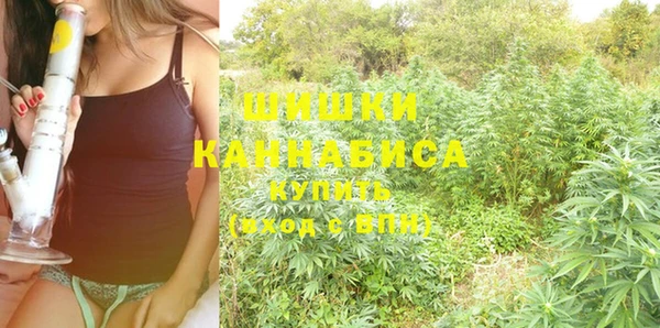 круглые Алзамай