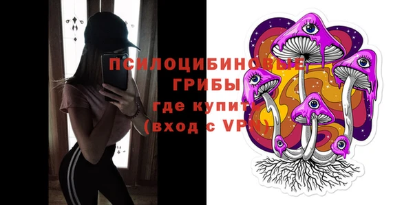 круглые Алзамай