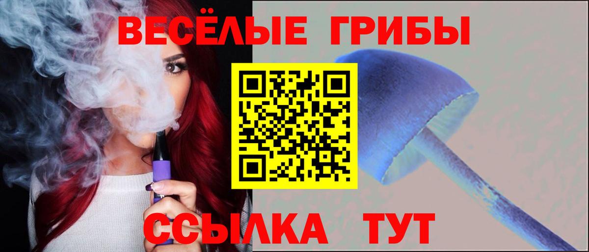 Кимры  Галлюциногенные грибы MAGIC MUSHROOMS  Псилоцибиновые грибы мухоморы  Вход с VPN 